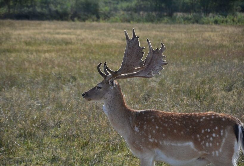 פנסיון Domaine De Chez Peyraud
