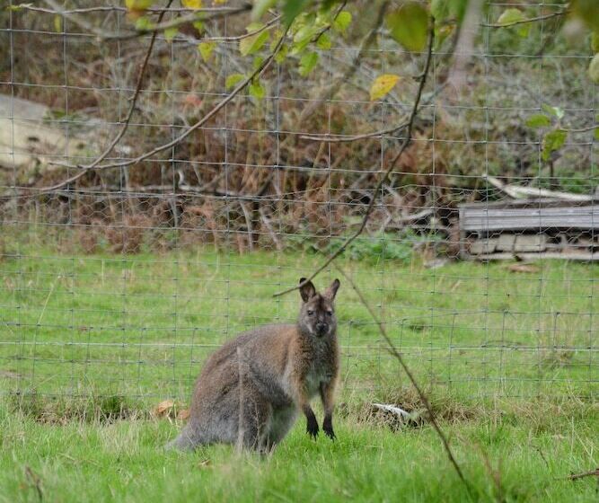 פנסיון Domaine De Chez Peyraud