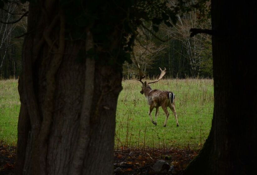פנסיון Domaine De Chez Peyraud