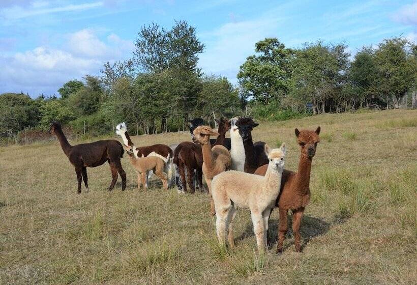 פנסיון Domaine De Chez Peyraud