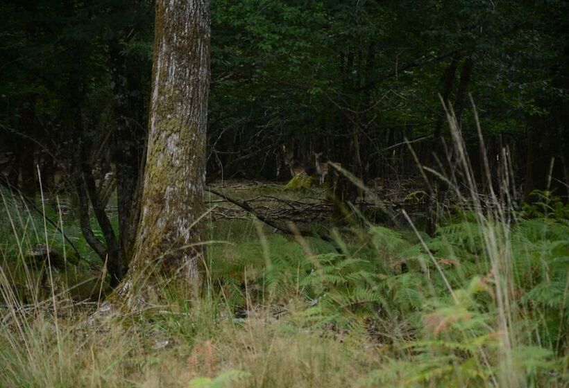 פנסיון Domaine De Chez Peyraud