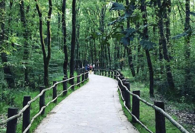 Arteria Family Residence & Suit