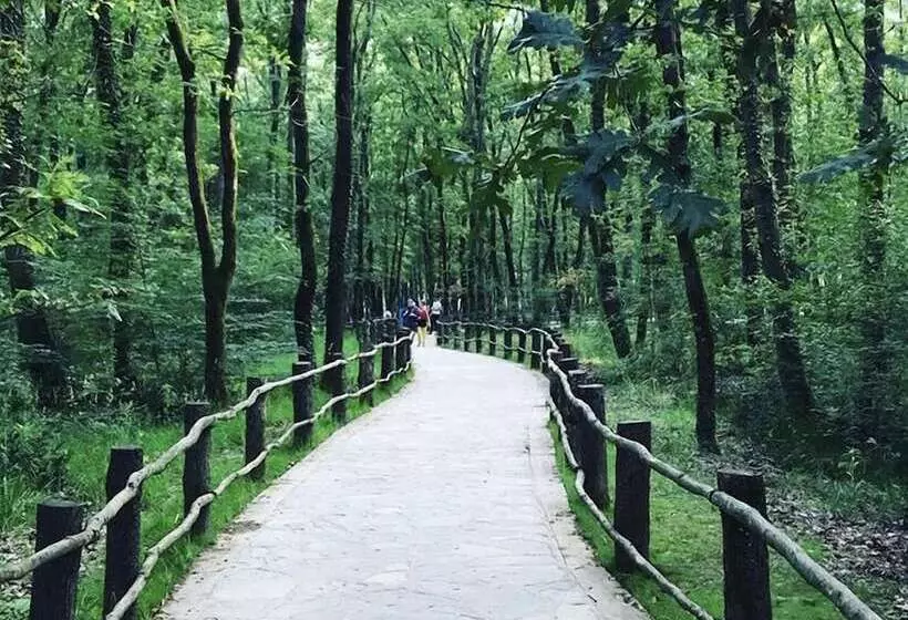 Arteria Family Residence & Suit