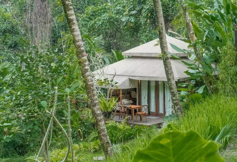 Aamiaismajoitus (B&B) Galalima Glamping