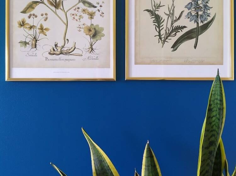 צימר La Halte Aux Oiseaux