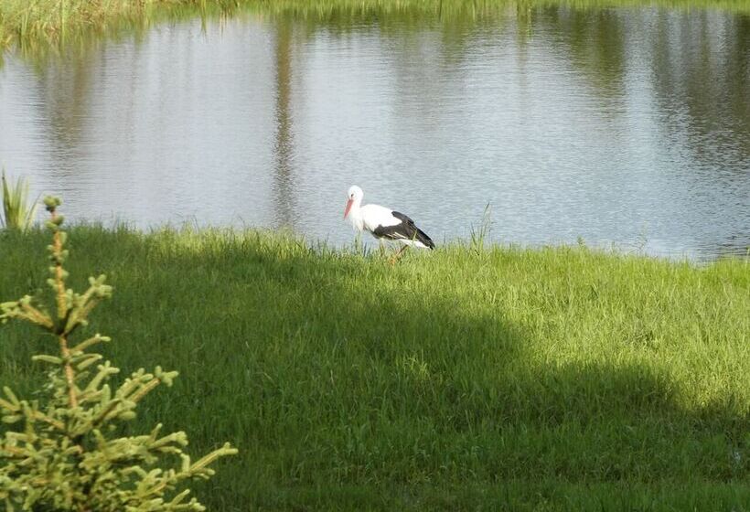 簡易ホテル Dwór Strzyżew