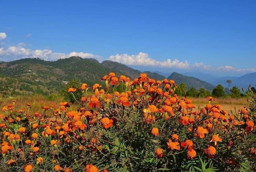 ホテル Hardik Resort