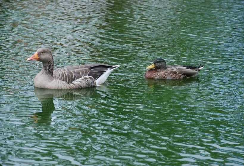 펜션 Domaine De Collen