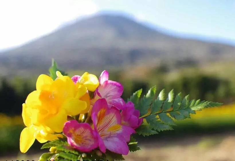 Ryokan Kokumin Shukusha Sun Marina