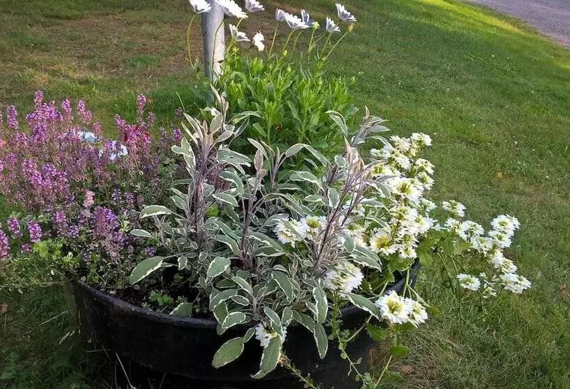 Vaalimaa Camping   On The Beach