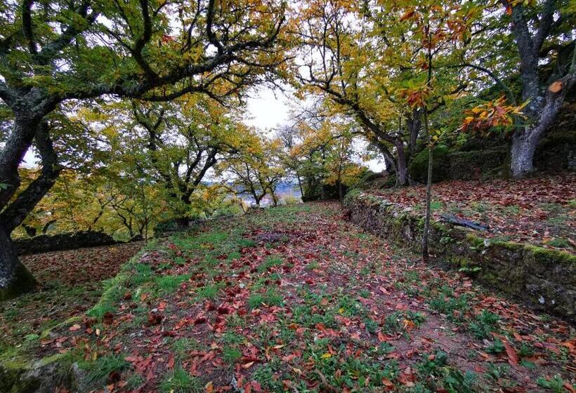 민박 Casa Do Castelo