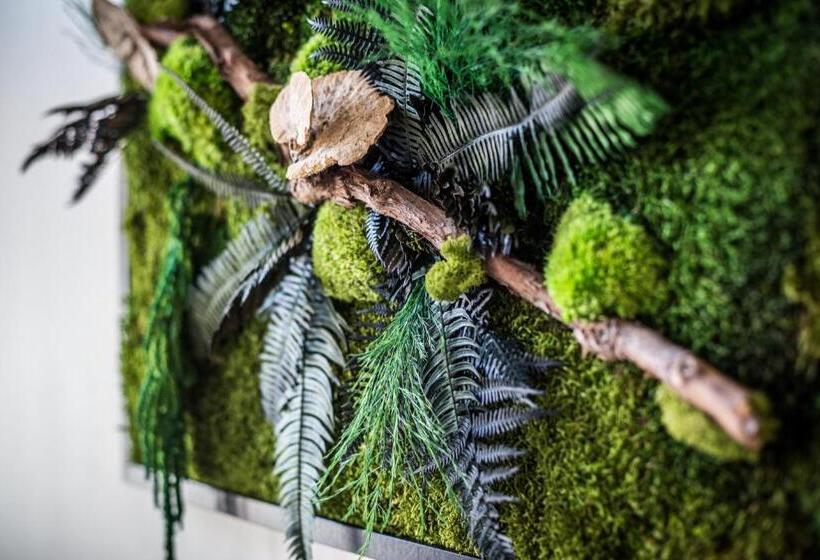 민박 Demeure Saint Martin