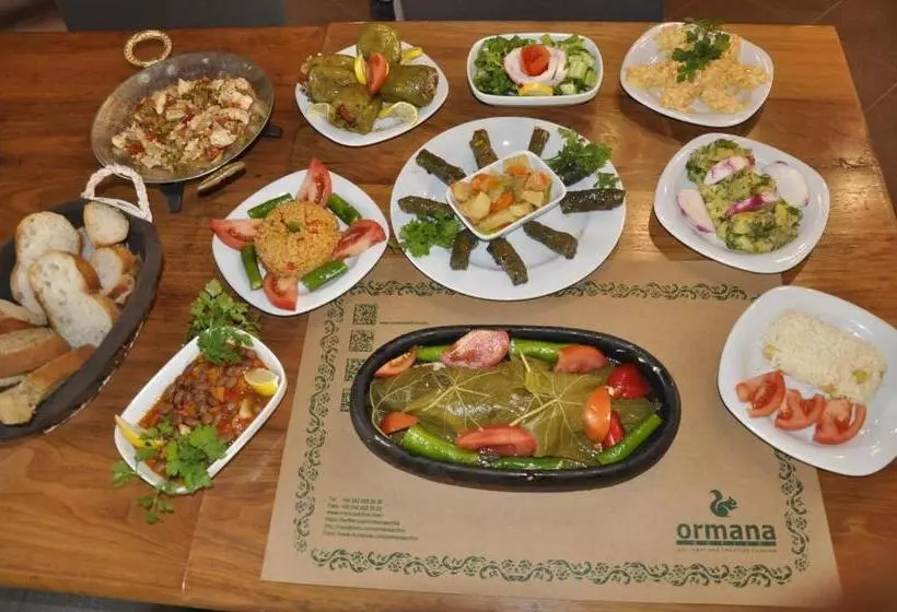 Aamiaismajoitus (B&B) Ormana Active Dogan Boutique