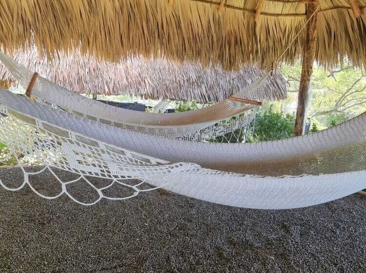 مسافرخانه Los Mangos