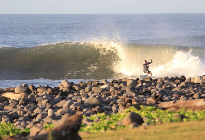 مسافرخانه Los Mangos