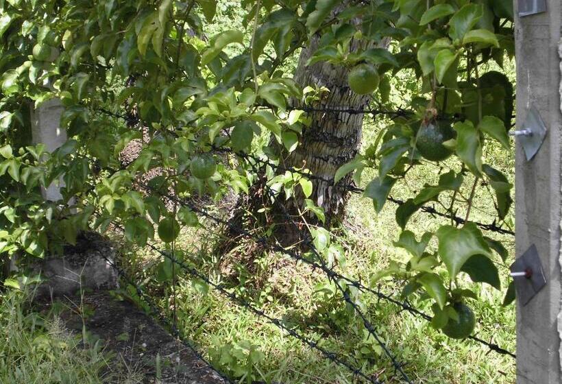 Отель Cocoworld Bungalow