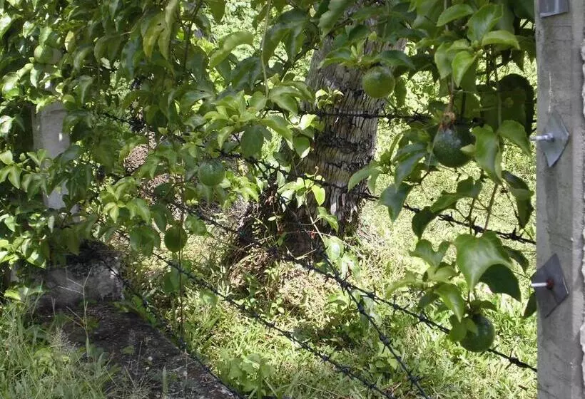 Hotelli Cocoworld Bungalow