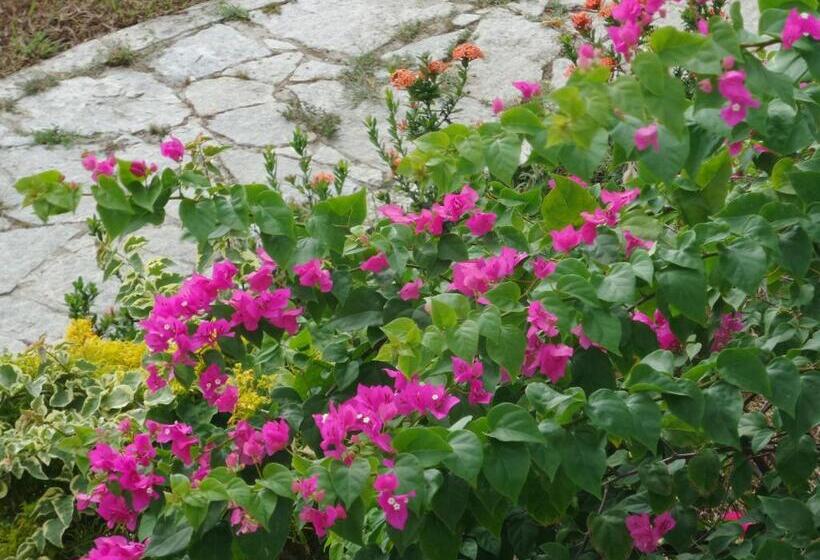 Отель Cocoworld Bungalow