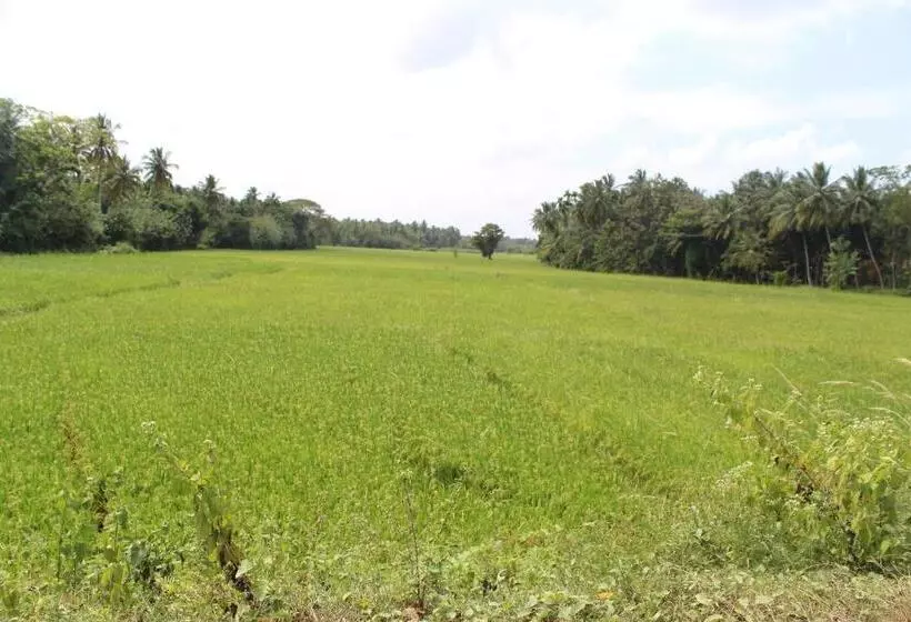 Hotelli Cocoworld Bungalow