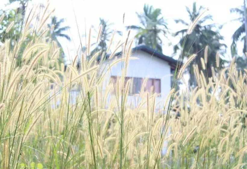 Hotelli Cocoworld Bungalow