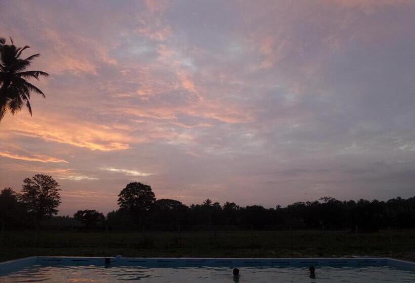 Отель Cocoworld Bungalow