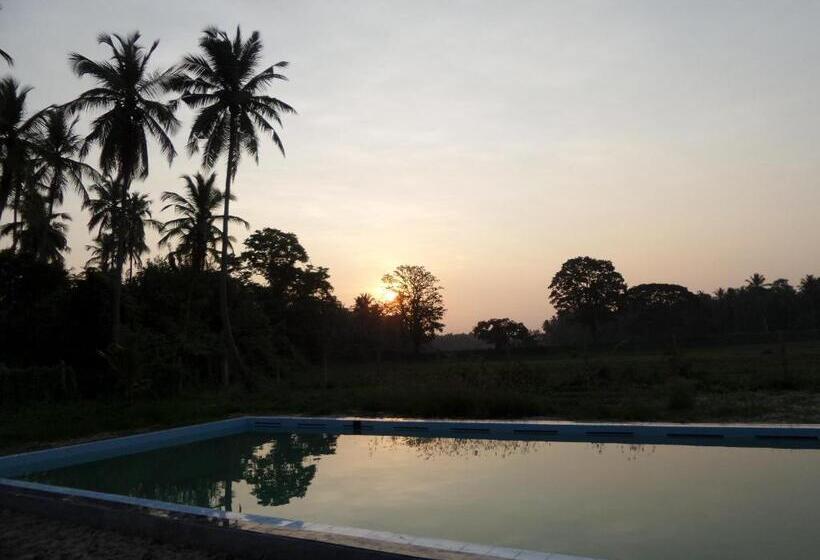 Отель Cocoworld Bungalow