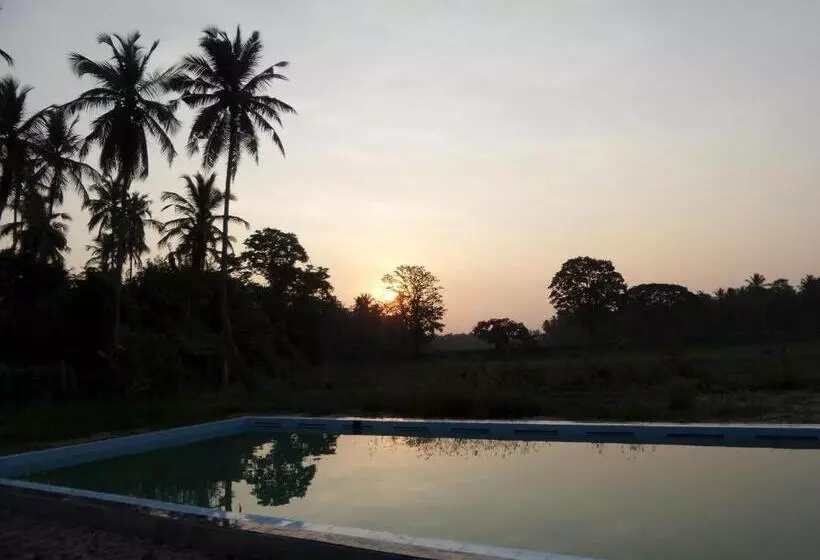 Hotelli Cocoworld Bungalow