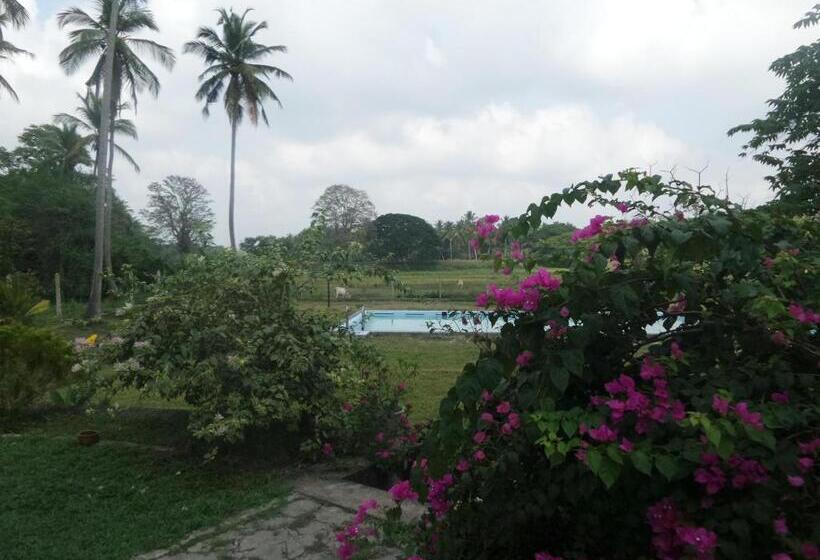 Отель Cocoworld Bungalow