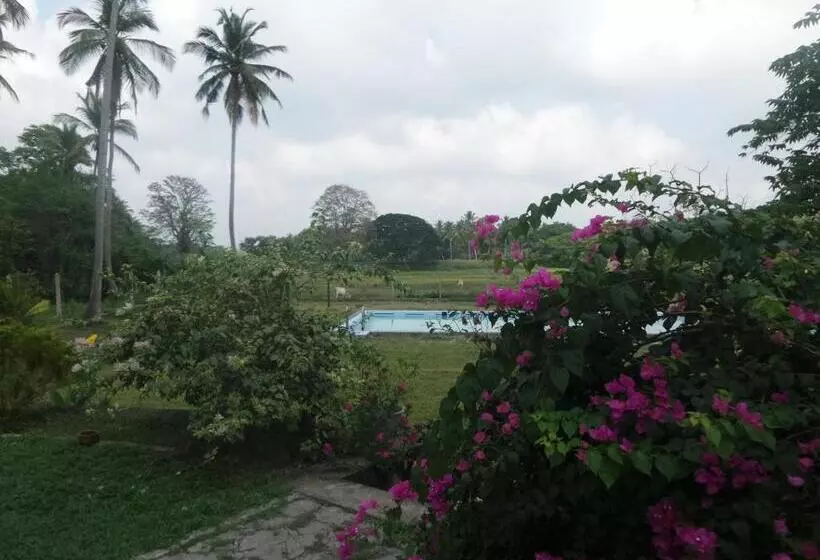 Hotelli Cocoworld Bungalow