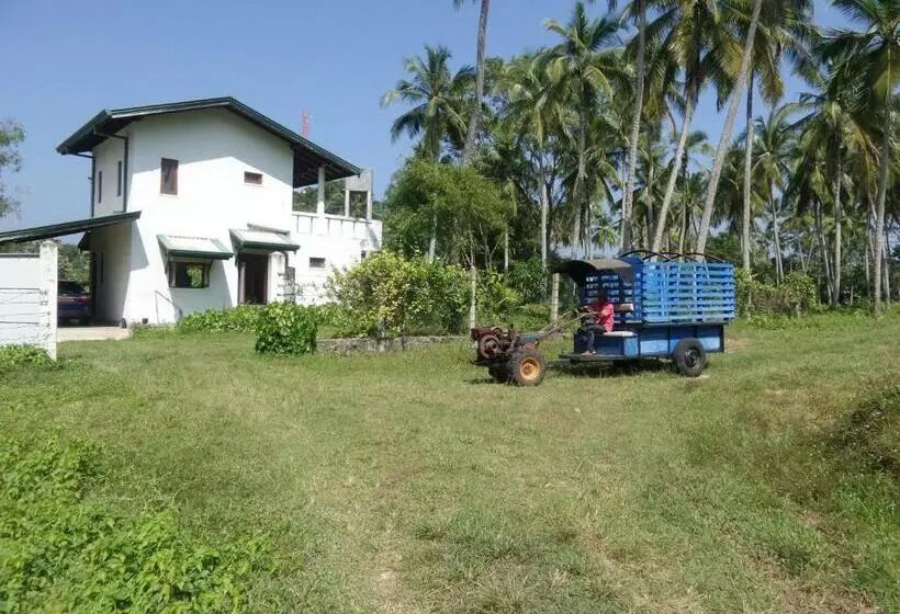 Hotelli Cocoworld Bungalow