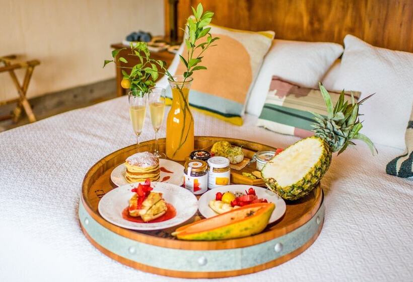 فندق Hacienda La Danesa