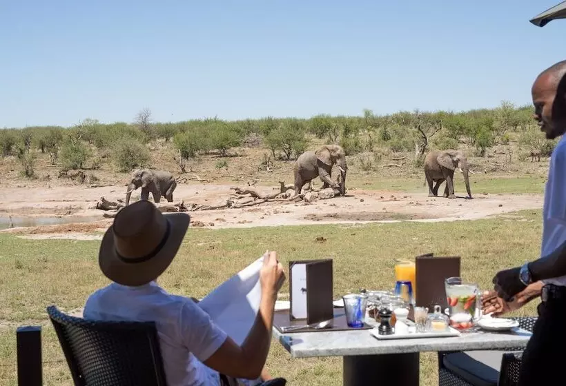 ホテル Jamala Madikwe