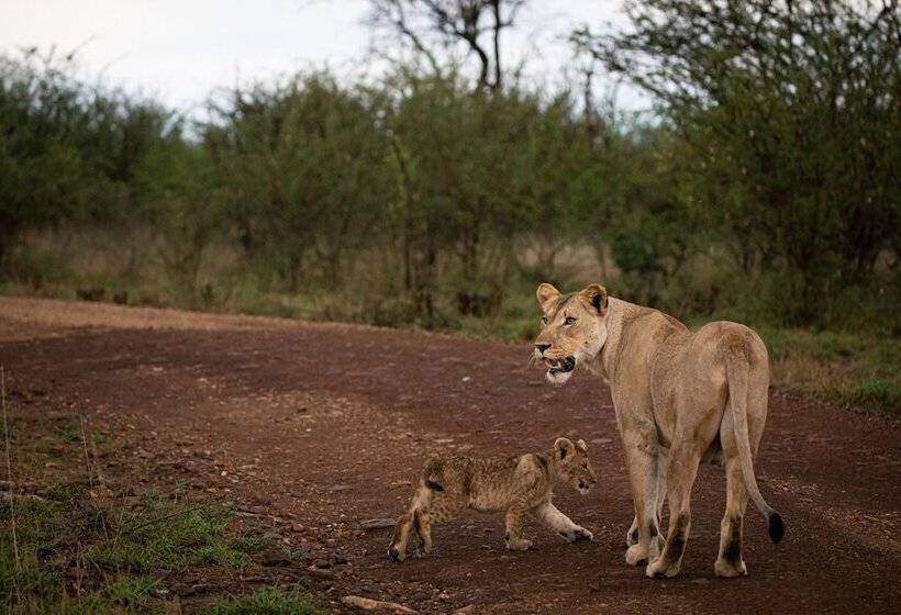 בית מלון כפרי Jamala Madikwe