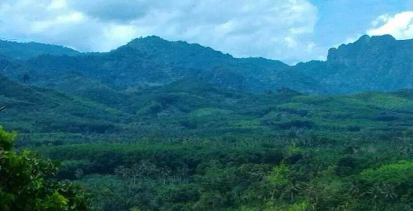 Hotelli Khao Sok Horizon