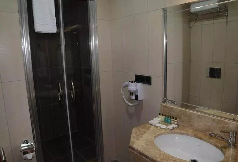 ホテル çınarpark