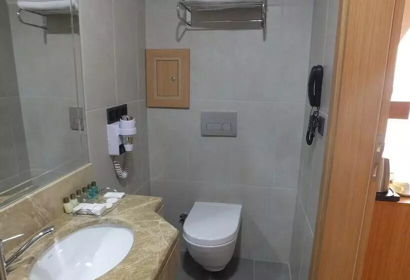 ホテル çınarpark