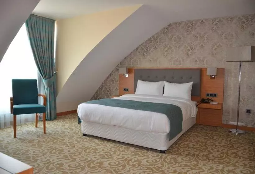 ホテル çınarpark