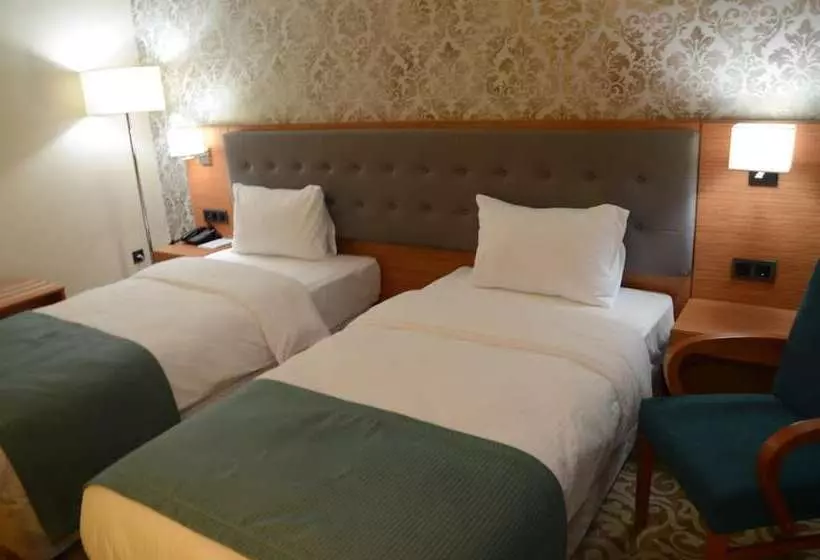 ホテル çınarpark