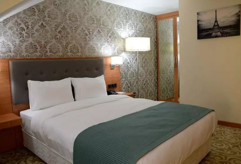 ホテル çınarpark