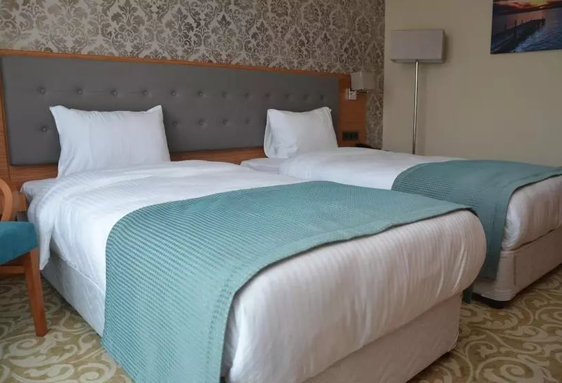 ホテル çınarpark