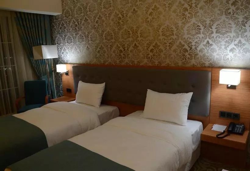 ホテル çınarpark