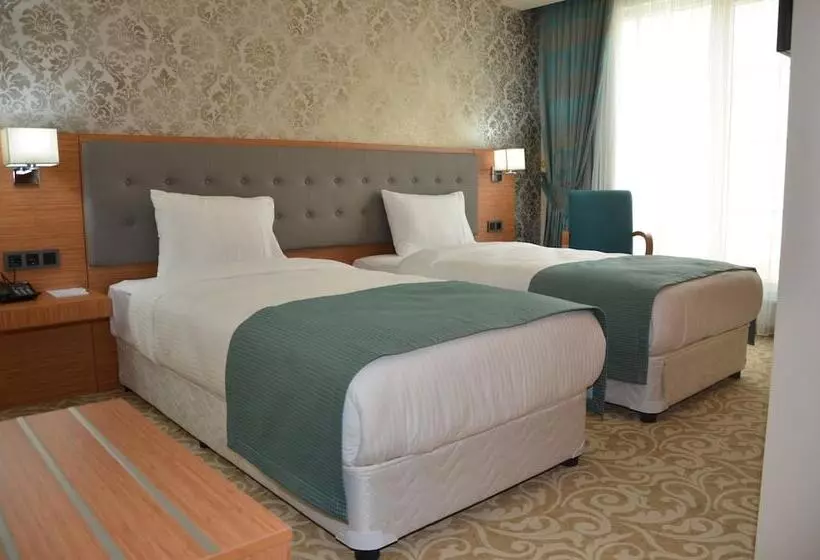 ホテル çınarpark