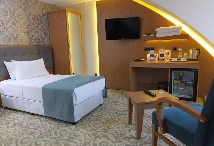 ホテル çınarpark