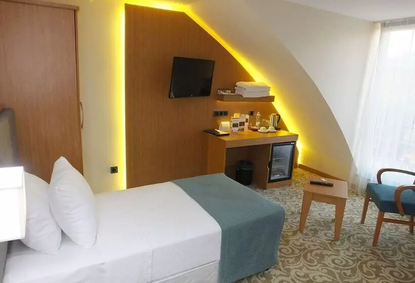 ホテル çınarpark