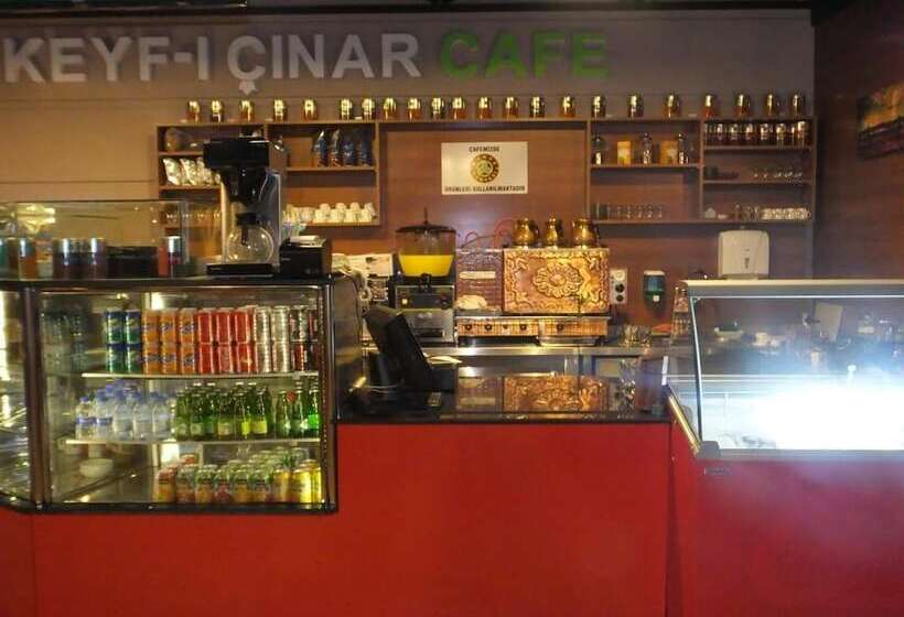 فندق çınarpark