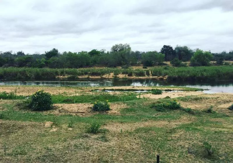 Hotelli Sabie River Bush Lodge