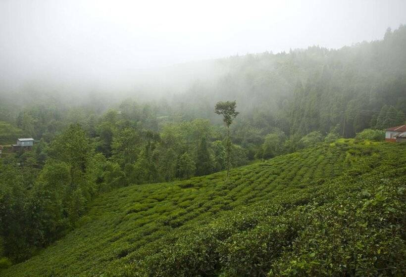 Pensão Goomtee Tea Garden Retreat