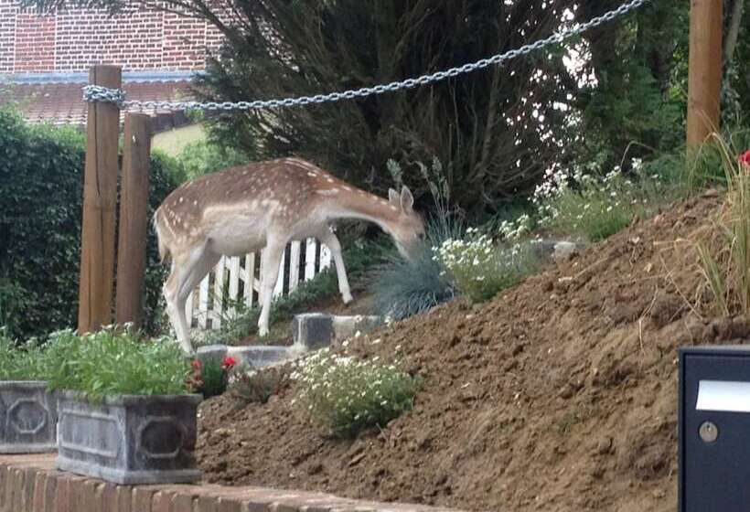 膳宿费 La Garonde