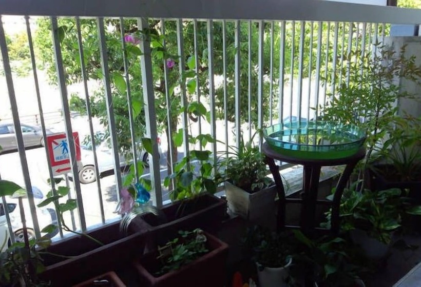 بنسيون Next International Homestay