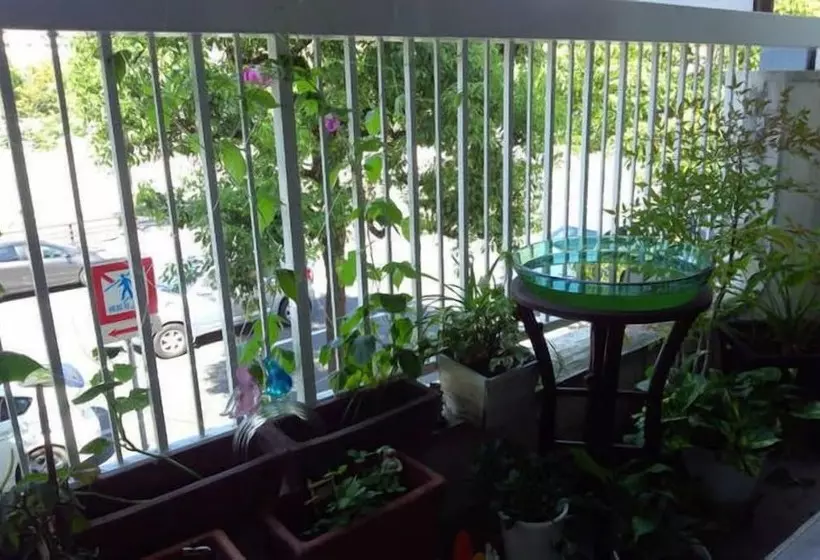 Majatalo Next International Homestay